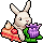 Wonderland Bundle